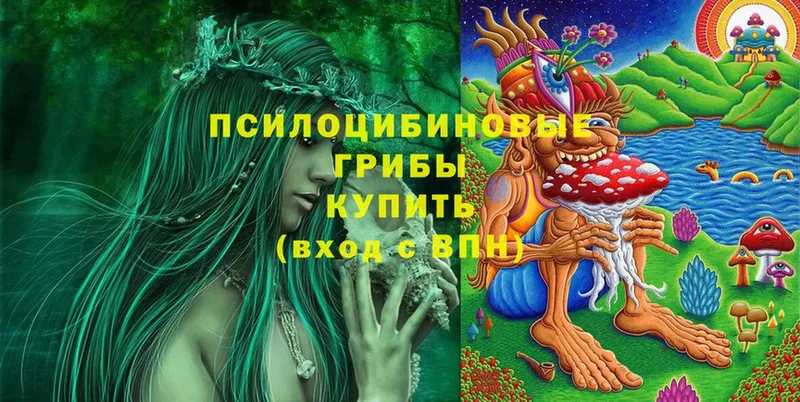 дарнет шоп  Воткинск  Галлюциногенные грибы Psilocybe 